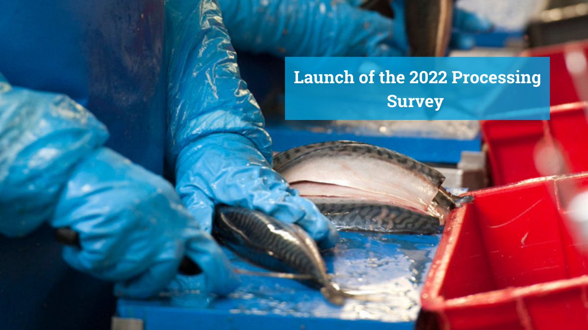 seafishuk's tweet image. Next week we'll be launching our 2022 Processing Survey - contacting UK processors to gather data to help us understand what's happening in the industry. 

Now, more than ever, it's essential for processors to share their data and make their voices heard.

seafish.org/about-us/news-…