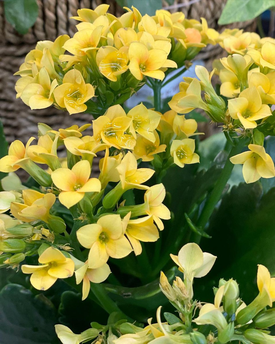 220329| hx2yun_ instagram güncellemesi:

"@//stanley_pilates"