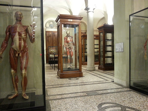 beni_culturali's tweet photo. lI #Museo_di_Anatomia_Umana_Luigi_Rolando è un #museo di anatomia fondato nel 1739 con sede a #Torino e fa parte della rete #museale dell'#Università degli #Studi di #Torino.
Vieni a fare una #VisitaVirtuale da qui: https://t.co/cOG19CIJhT https://t.co/3AwWwYTxSp