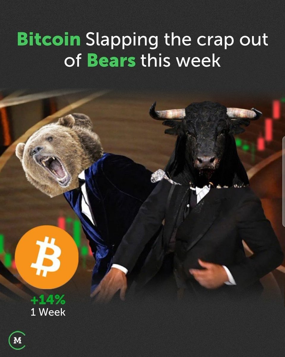cryptoking_ak's tweet photo. #Bitcoin bulls 🐂 &amp; Will  slapping the crap out of bears 🐻 this week. https://t.co/r8qK3StjXm