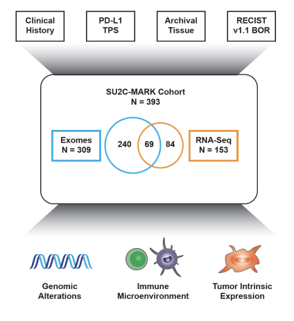 getz_lab's tweet photo. (1/2) Excited to share our initial findings on genomic and transcriptomic predictors of immunotherapy response in #LungCancer #NSCLC from the first joint analysis of the @SU2C–@TheMarkFdn checkpoint blockade response cohort in our new @biorxiv preprint!  https://t.co/eaNHJiKBHI https://t.co/sjFuwtFtgB
