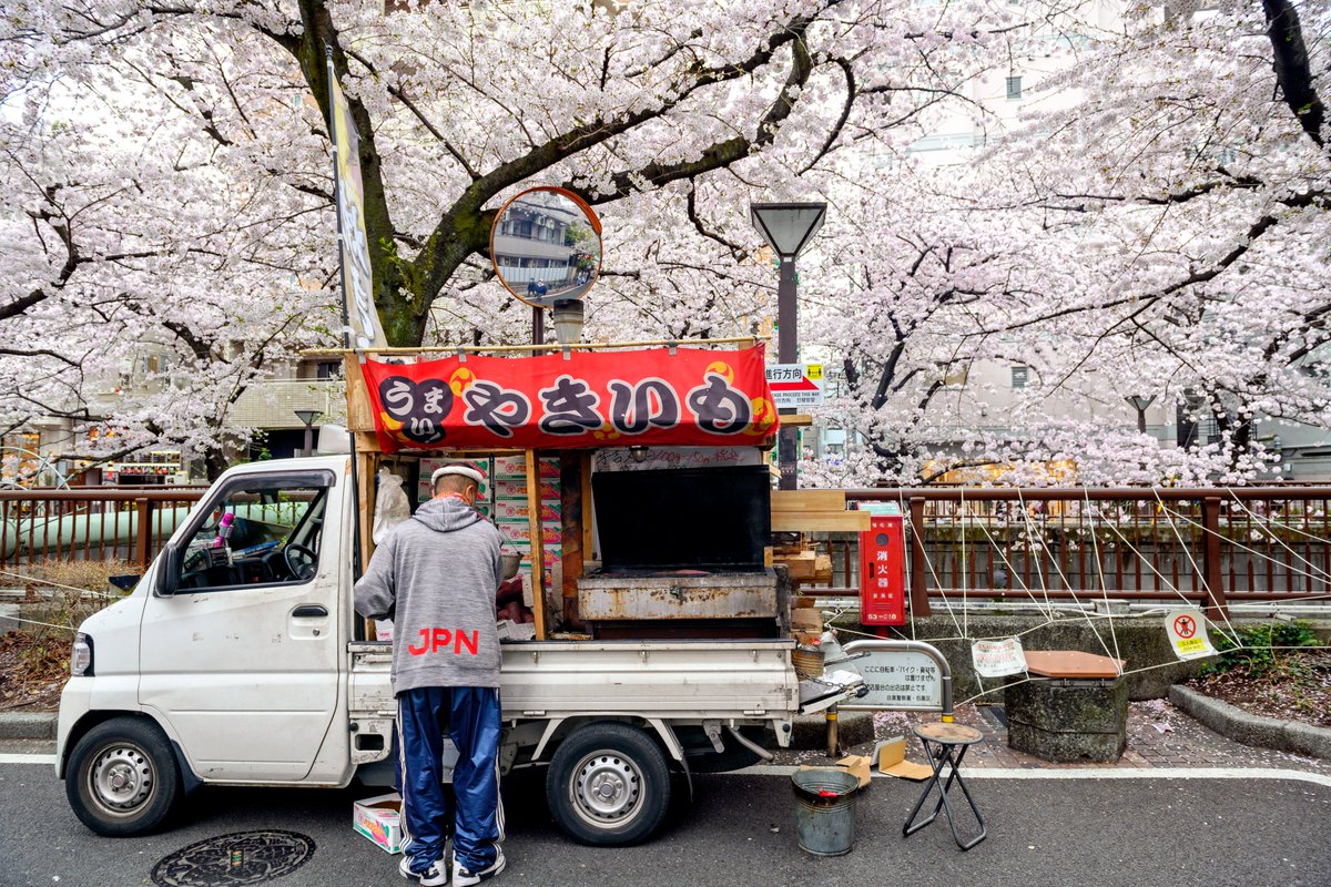 TokyoFashion's tweet photo. A few more cherry blossom photos from Nakameguro, Tokyo today. https://t.co/ucir8JcTkJ
