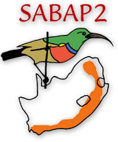 SA_birdatlas's tweet photo. Want to start #atlasing with the @SA_birdatlas project?

Then join our Southern African Bird Atlas Project (SABAP2) Virtual Workshop - register here: https://t.co/XMo9mUxwM6

@henkbirdlasser @BlueHillEscape @efretief @birding_life https://t.co/PcwfbOcXVc