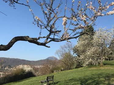 chainedespuys's tweet image. #InstantPhotos 
Quelques photos printanières, prises depuis le parc Montjuzet à Clermont-Fd, pour bien commencer le week-end ! 😍
#puydedome #chainedespuys #printemps