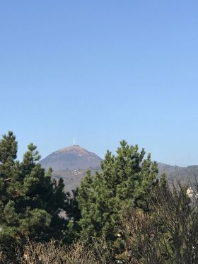 chainedespuys's tweet image. #InstantPhotos 
Quelques photos printanières, prises depuis le parc Montjuzet à Clermont-Fd, pour bien commencer le week-end ! 😍
#puydedome #chainedespuys #printemps