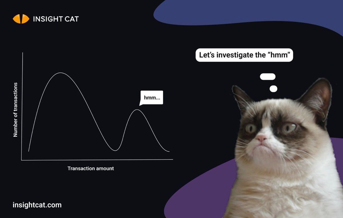 Insightcat tweet media