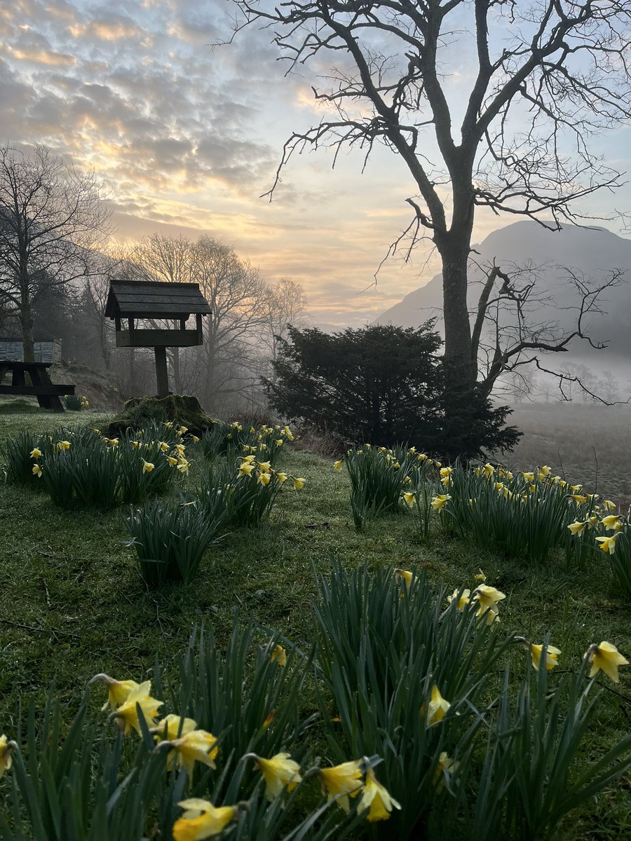 YHAEnnerdale's tweet photo. 🎶🎵oh what a beautiful mooooooooooorning, oh what a beautiful day 🎵🎶 https://t.co/JRBQJyqhjm
