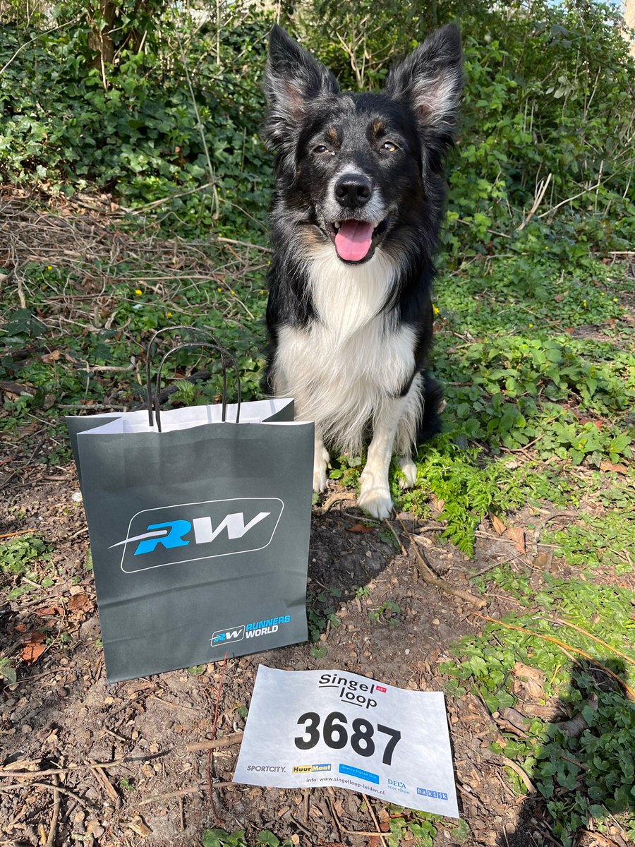 Runningleen😋 tweet media