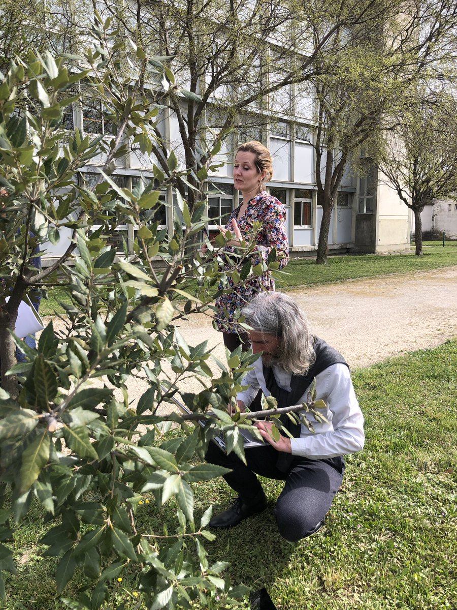 atco_edu's tweet photo. #mardinum Sciences participatives
Atelier #data autour du patrimoine arboré et sortie de terrain dans le parc de l’Inspe d’Avignon pour inventorier les arbres et contribuer au schéma de données pour l’arbre urbain.

https://t.co/ZZHd6a0t9D https://t.co/x14QN0U9vM