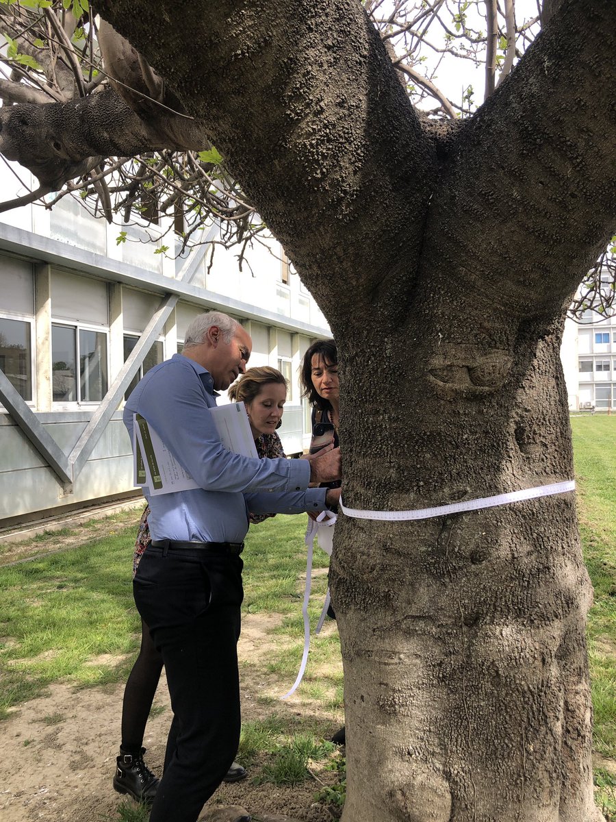 atco_edu's tweet photo. #mardinum Sciences participatives
Atelier #data autour du patrimoine arboré et sortie de terrain dans le parc de l’Inspe d’Avignon pour inventorier les arbres et contribuer au schéma de données pour l’arbre urbain.

https://t.co/ZZHd6a0t9D https://t.co/x14QN0U9vM