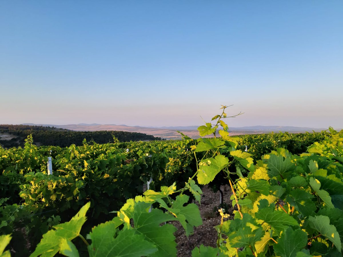 ValueCoop's tweet photo. Visit our website to read the article on the Significance of #Cooperative Development in Croatia and find out about the great impact they can have through #socialvalue monetisation. https://t.co/42gY91sLWX #agrifood @EUErasmusPlus #AGGRA https://t.co/idYfpo05bn