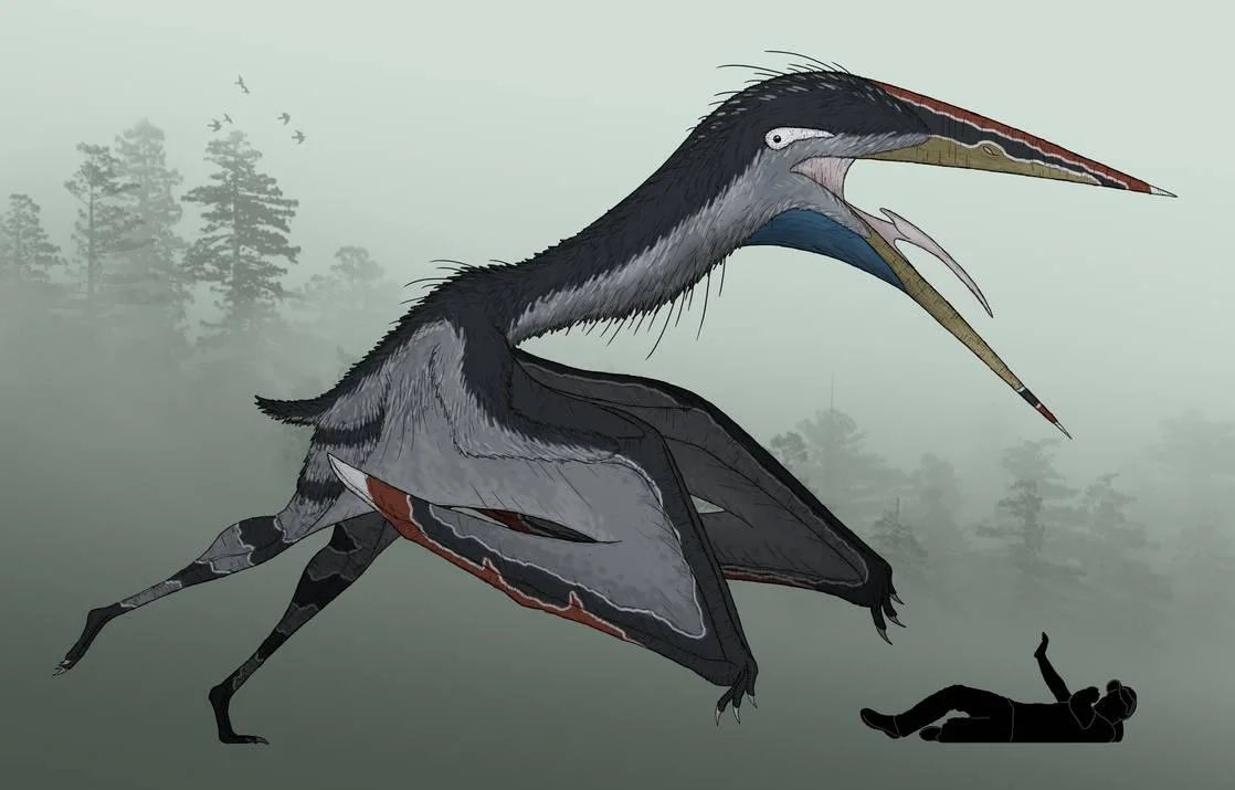 waitbutwhy's tweet photo. How have I spent my whole life obsessed with dinosaurs and am just today learning about the giant pelican from hell. https://t.co/d966HSzvoy