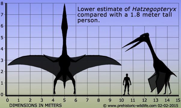 waitbutwhy's tweet photo. How have I spent my whole life obsessed with dinosaurs and am just today learning about the giant pelican from hell. https://t.co/d966HSzvoy