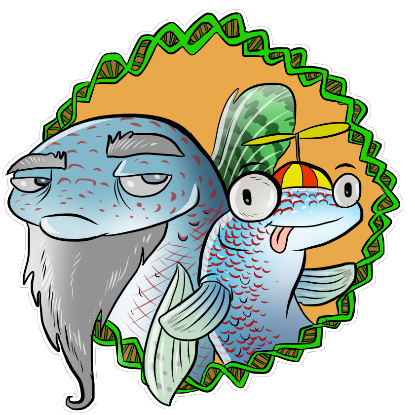 1/5) Do males and females age differently? What happens to our metabolism as we age? Is it reversible? 

Using the turquoise killifish, we identified sex-specific regulation of metabolic health and lifespan by AMP biosynthesis.

Our preprint: 
biorxiv.org/content/10.110…