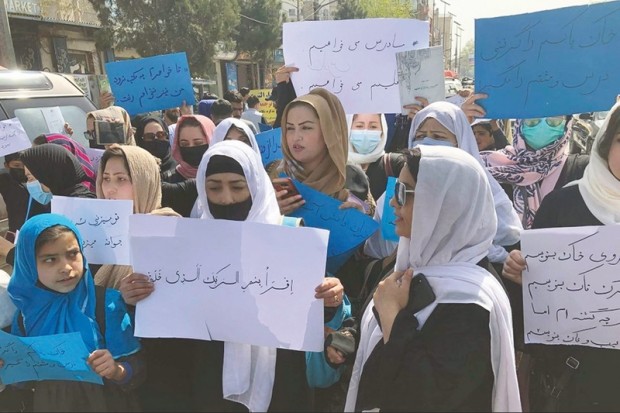 AlgeriaDaily's tweet photo. Nouveau tour de vis taliban contre les femmes afghanes https://t.co/30XbtRMrDJ https://t.co/cC6wrDaBGQ