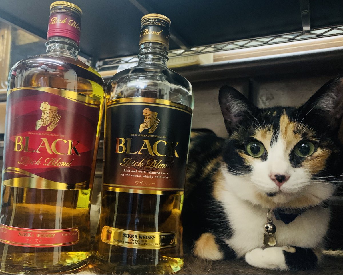mecchao_ennyan's tweet photo. 赤ラベル買ってみた🥃
また呑んでないけどww
#ニッカウヰスキー
#BLACK
#Richblend
#黒ラベル
#赤ラベル
#お酒好きな人と繋がりたい
#猫好きさんと繋がりたい https://t.co/fBfzKzUCJM