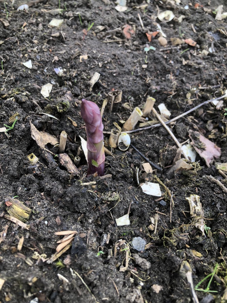 Nab Edge tweet media