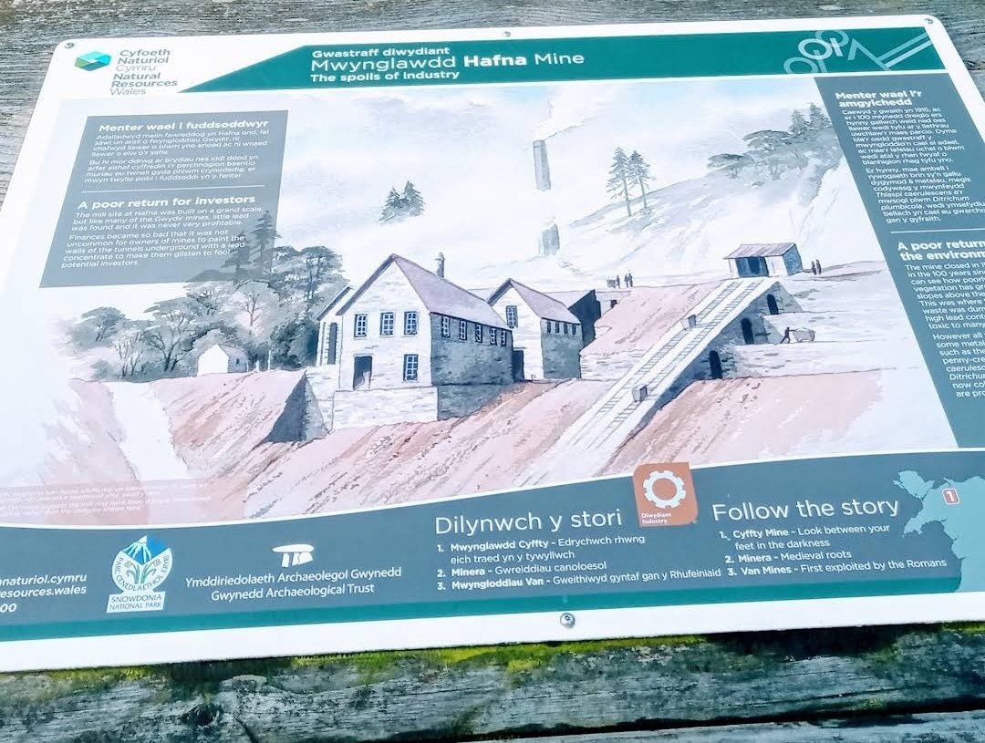 MEIRIONYDDPHOTO's tweet photo. #HAFNA #LeadMine
Near #GwydirCastle #Llanrwst #Conwy
Former #Incline #funicular https://t.co/awjnUgCbnX