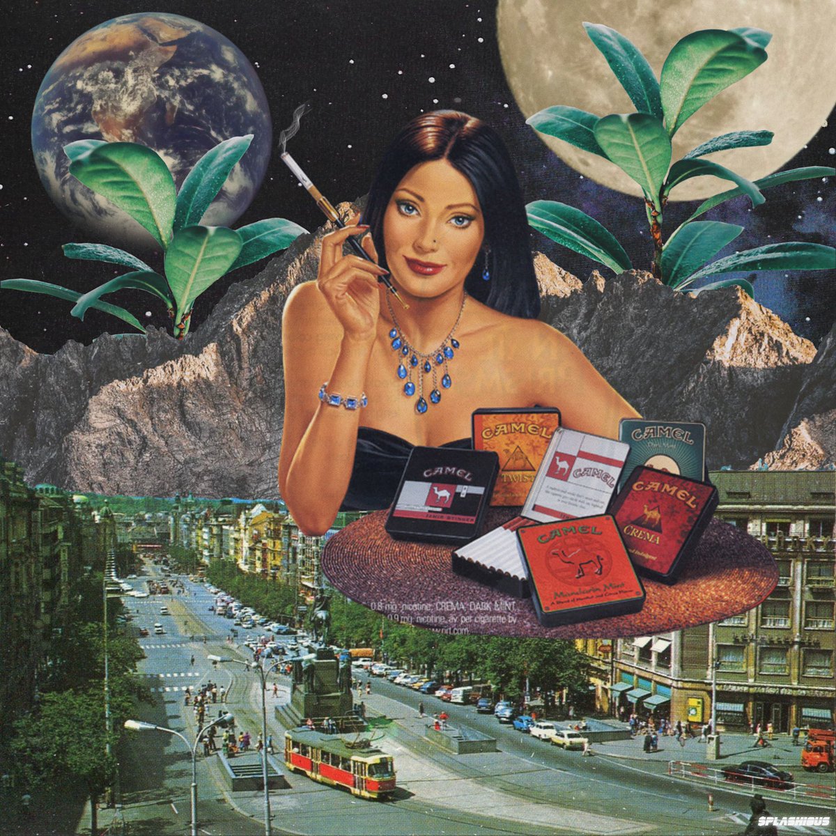 $plashious tweet media