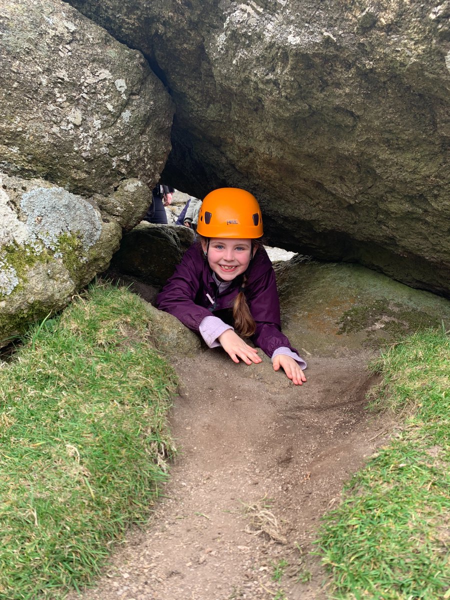 Tavistock Primary & Nursery School tweet media