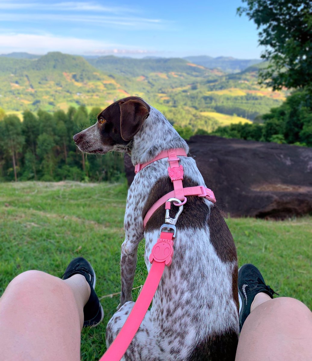 LUKE & ARYA tweet media