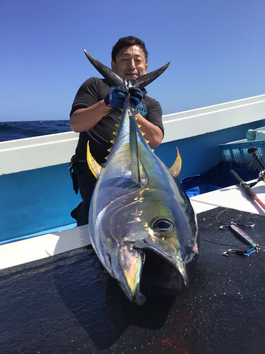 1rBvwRoONV0BhH1's tweet photo. Twitterメチャクチャサボってましたがまた少しずつ
ジギングでキハダ30キロオーバー
ジグはTOP RANGE  BuriStyleSpeed250g
このジグはクロマグロを狙っていても居れば百発百中！
ベイトが何とかは殆ど関係ない感じです。
#TOPRANGE 
#マグロジギング　
#ブリスタイル
#BuriStyleSpeed 
#トップレンジ https://t.co/Hw3Y299Wq9
