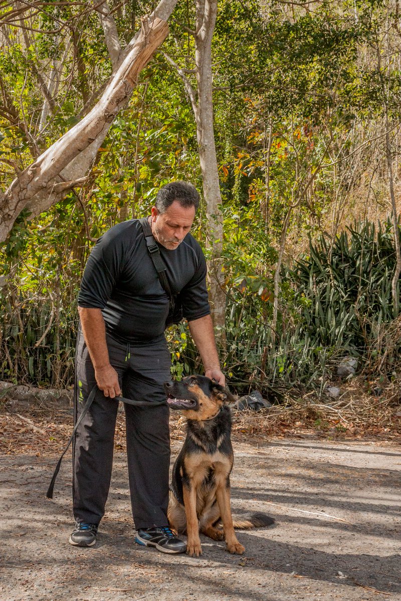 vodkcan's tweet photo. Con el pana Berlin 🐶😉👍

#PastorAlemán #PastorAleman #PerroPastor #PerroPastorAleman #AdiestramientoCanino  #EducaciónCanina  #ObedienciaCanina #EscuelaCanina #PerroEducado  #MascotaEducada  #AdiestramientoDomicilio #EntrenamientoADomicilio https://t.co/KCRk4yJ7bR