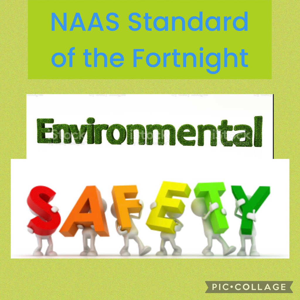 Rach Ashworth 🌈💜 tweet media