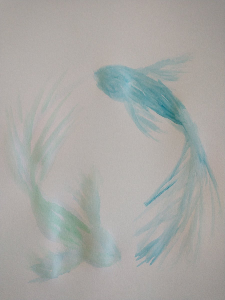 Desachroma's tweet photo. Harmony. #koi #fish #watercolor #painting #art https://t.co/wzYYNxrMbP