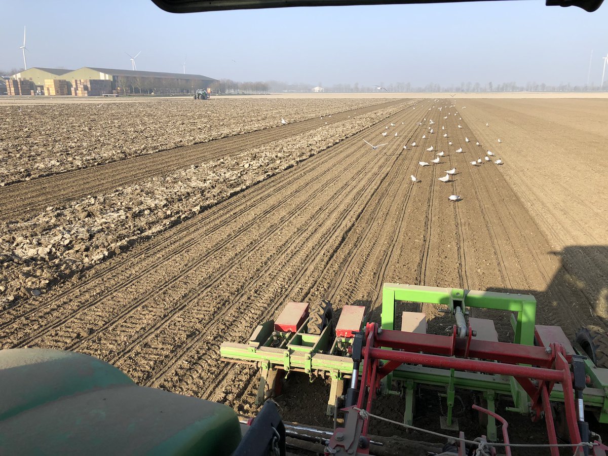 MiedemaMathijs's tweet photo. #mooiweekjezaaien https://t.co/u87rabfOIk