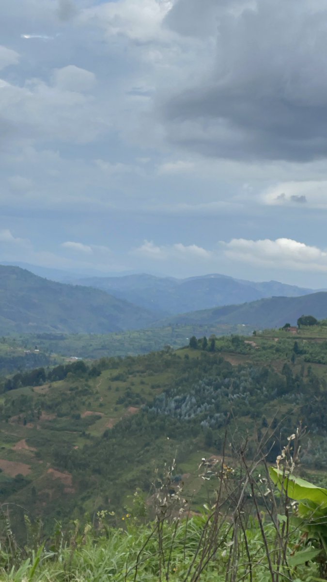 Rory Stewart tweet media