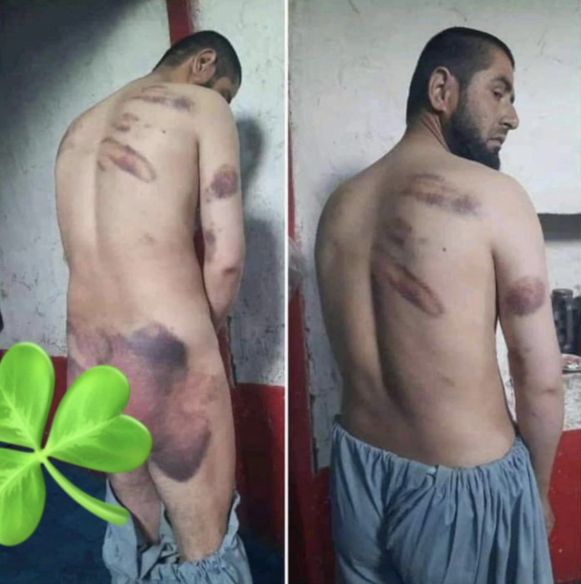 khabarialmedia's tweet photo. عمومي عفوه تشې خبرې دي؛ طالبان له پخواني عسکر وژني؛ وهي یې؛ سپکوي یې او ترټي یې.
دا د تېر حکومت یو عادي عسکر وو؛ جانګل نومېږي او اوس د طالبانو د عمومي عفوې پر مهال داسي وهل شوی چې یو لوی غیري انساني او غیري اسلامي عمل دی. https://t.co/uWPxvZAGHv