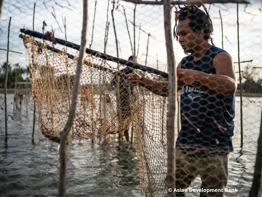 As ancestral stewards of the #oceans, #SIDS🏝️ communities possess invaluable knowledge that needs to be placed central in development. 

Learn more how SIDS are developing their capacity to sustainably use and benefit from marine resources 👉bit.ly/SIDSBulletin55

#UNDP4SIDS