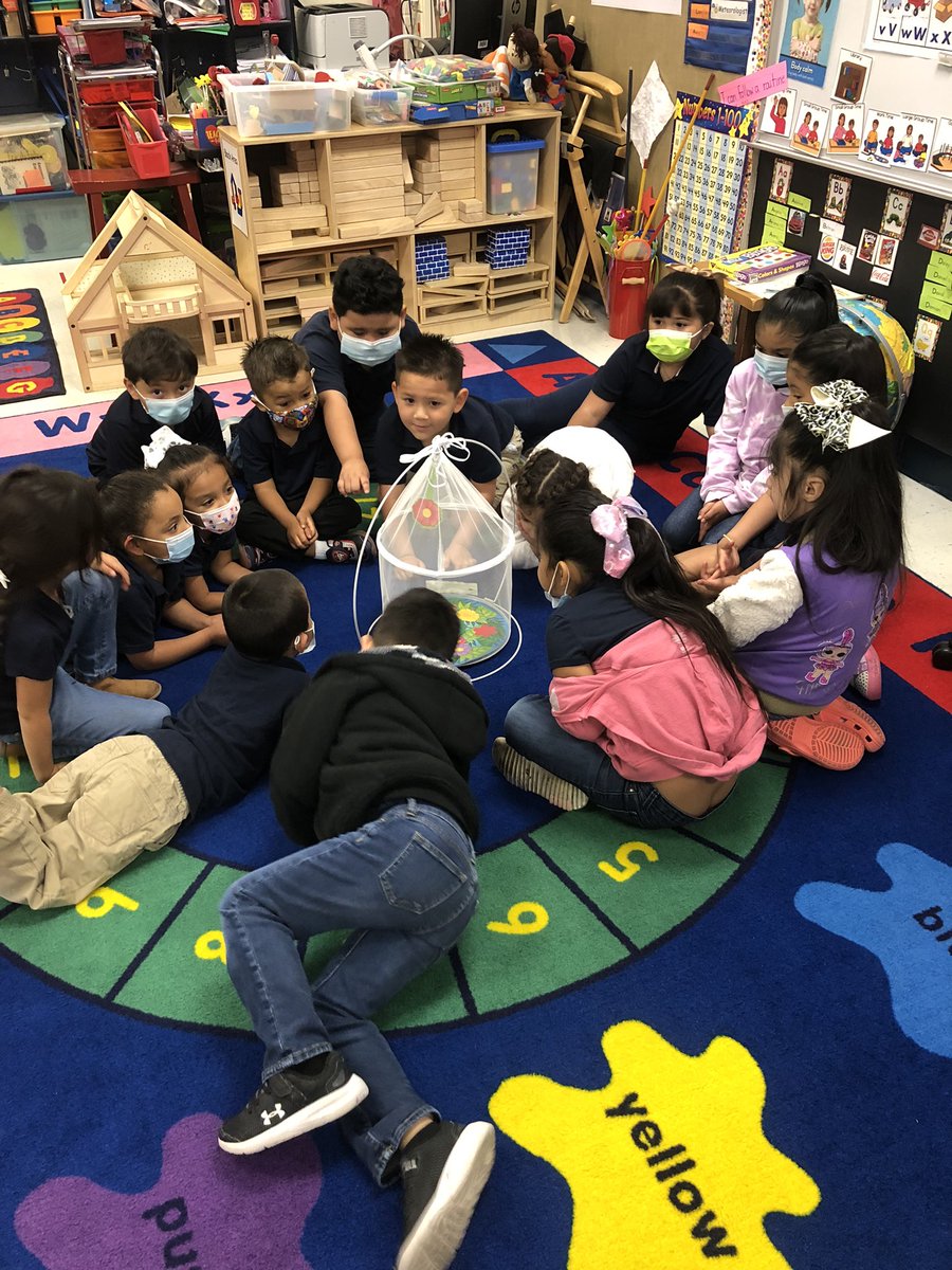 Kindersauceda's tweet photo. Exploring our new caterpillars 🐛 @NISD_ECE @NISD @GGarcia198 @BarbTriplettTX @NISDEsparza https://t.co/PcItAvWves