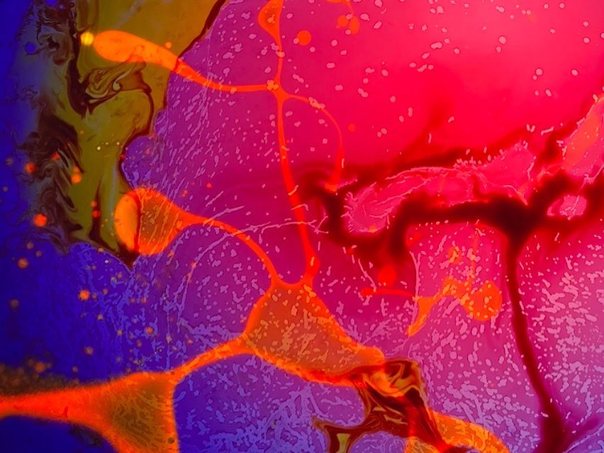 insight lighting tweet media