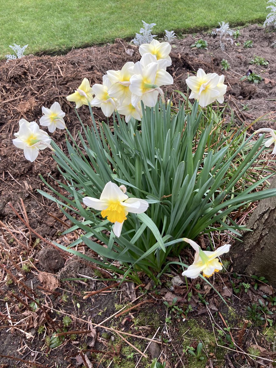 GiffnockNursery's tweet photo. We found signs of Spring this morning on the way to Huntly Park. #naturedetectives @HuntlyFriends https://t.co/mkvJTJVzLk