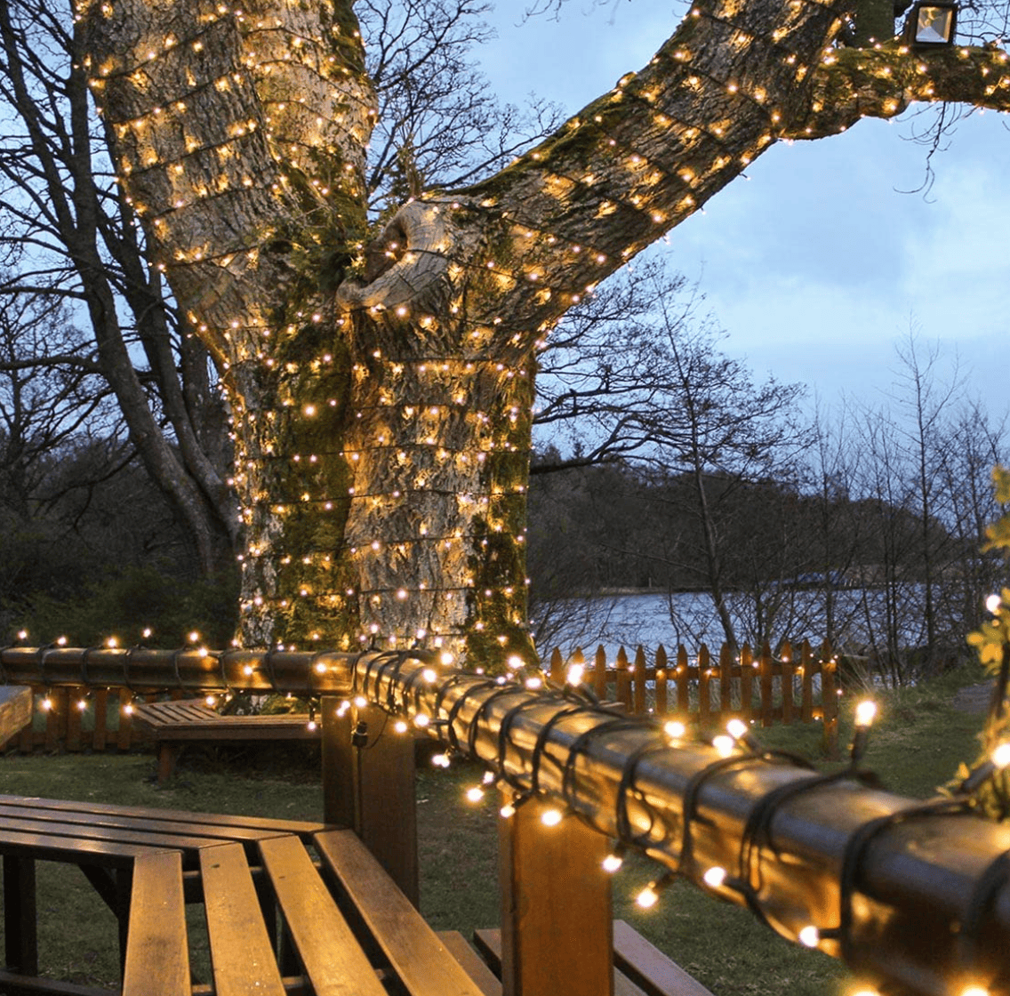HomeGuideExpert's tweet image. AD Looking for some gorgeous festoon lights to light up your outside space this Summer? 

homeguideexpert.com/top-ten-outdoo…

#homeguideexpert #ad #af #festoon #festoonlights #festoonlights2022