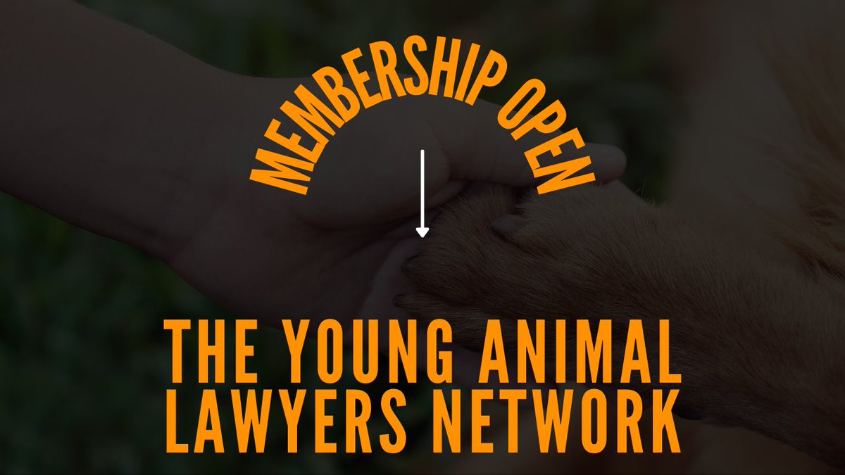 EXCITING news! Watch here: buff.ly/36AtlNK

A-LAW's Young Animal Lawyers Network is welcoming new members!!
 
Learn about the network or join now by emailing YoungALawyers@alaw.org.uk with your membership enquiry and become part of our growing community.