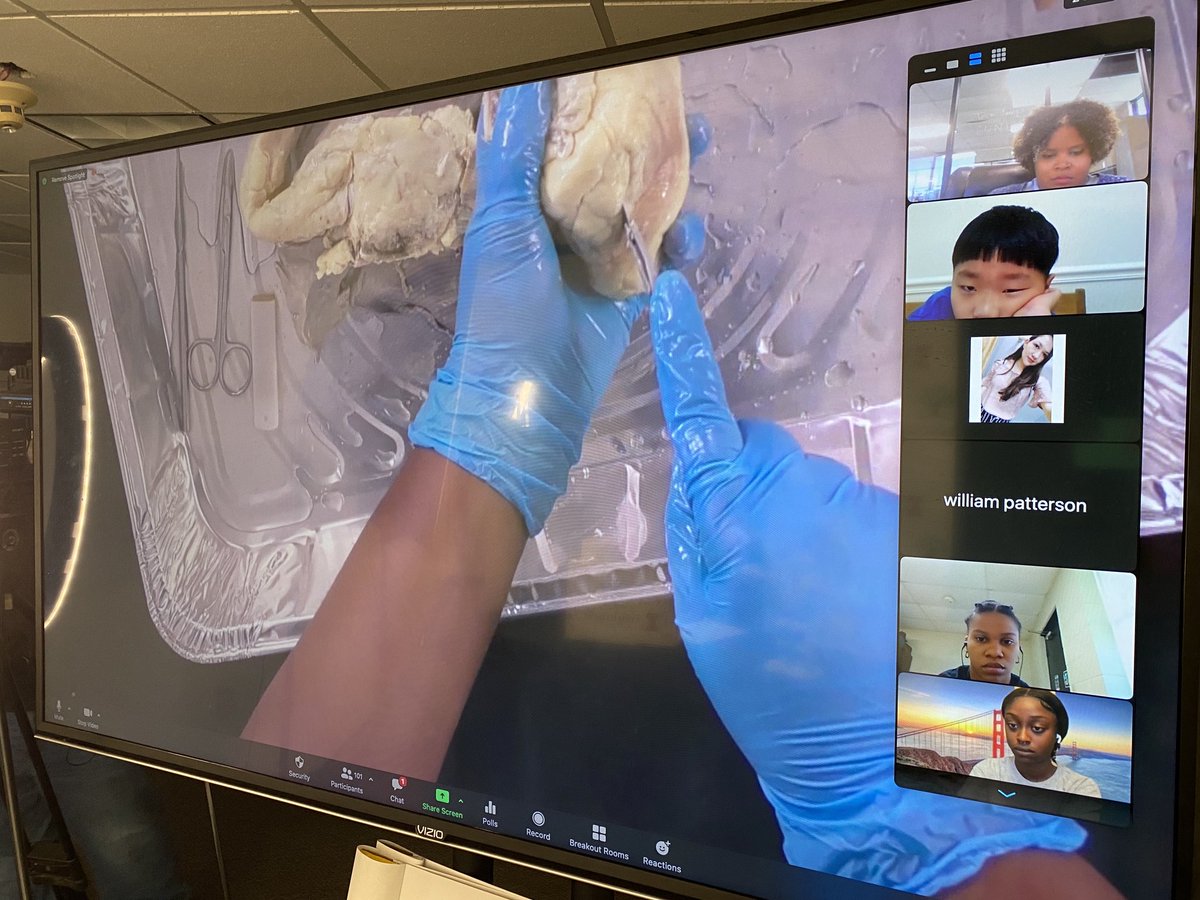 calvinmackie's tweet photo. functional mechanical lungs. This is what #STEMEngagement looks like! #STEMGlobalAction is coming to your community soon! 

Students also observed the dissection of a sheep pluck by former @STEMNOLA intern and staffer and now  LSU medical student, LaMiah Hall. https://t.co/p4sgJmBnoY
