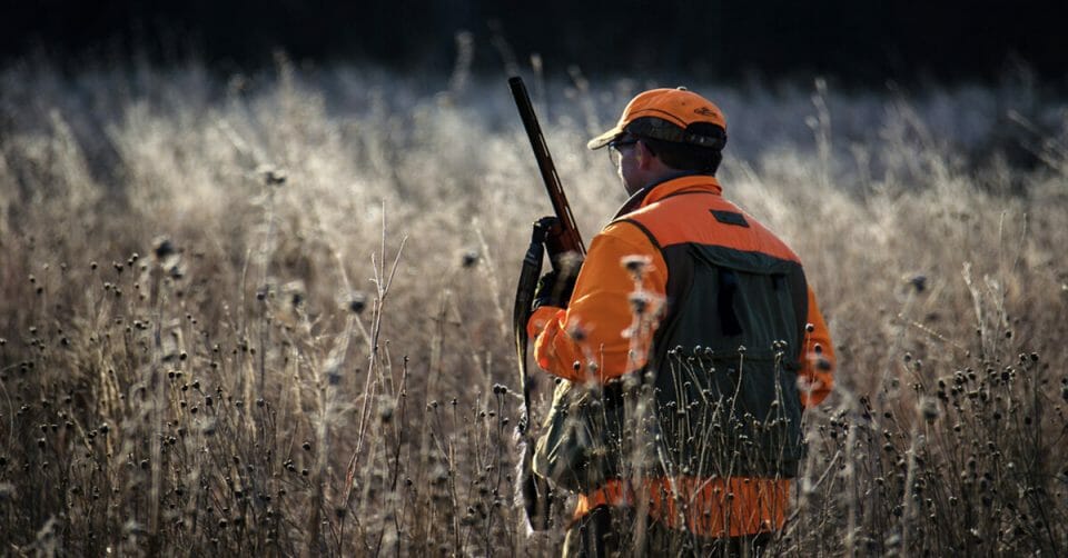 Carry Firearms Safely During Hunting Season. - at averageoutdoorsman.com/carry-firearms… Firearms Safely During Hunting Season.