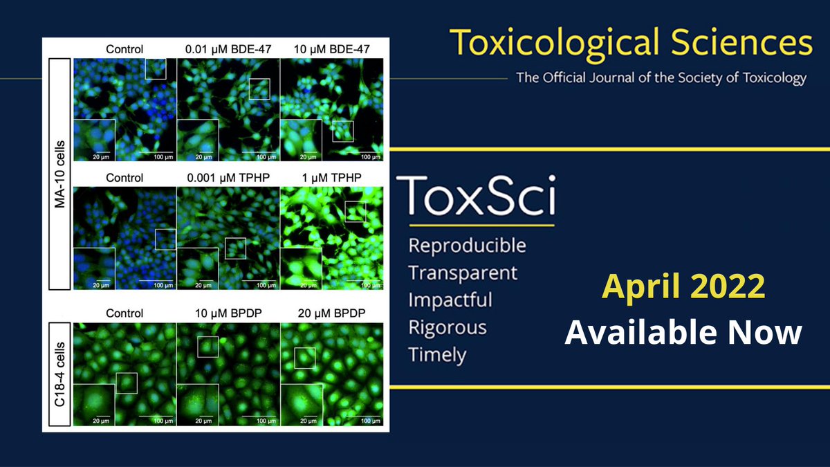 ToxSci's tweet photo. Excited by the great #toxicology research at #2022SOT and #ToxExpo? Want a little more? The April issue of #Toxsci is available online. https://t.co/IjeQCaZRyL https://t.co/yhTwkffIrj