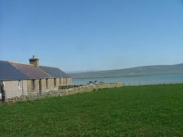 TheHolidayCots's tweet photo. Howe Farm Cottages provide comfortable self-catering holiday accommodation. They have availability 6th-13th May &amp; 10th-17th June.
🛌Sleeps 1-19
https://t.co/oKdopKCPhP
#Stromness #Orkney #Comfortable #SelfCatering #HolidayCottages #DatesAvailable #Escape #2022Break https://t.co/XyLbQUZ7lf