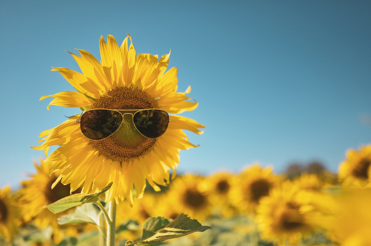 CoronadoSolar2's tweet photo. Even if the governor signs #HB741 into law, the new changes won't go into effect for another year and a half, so if you've been thinking about going solar, now is the best time!
Reach out! We'll be happy to help.
#solar #solarinFlorida #solarFL #solarpanels https://t.co/CU2rjNMdOB