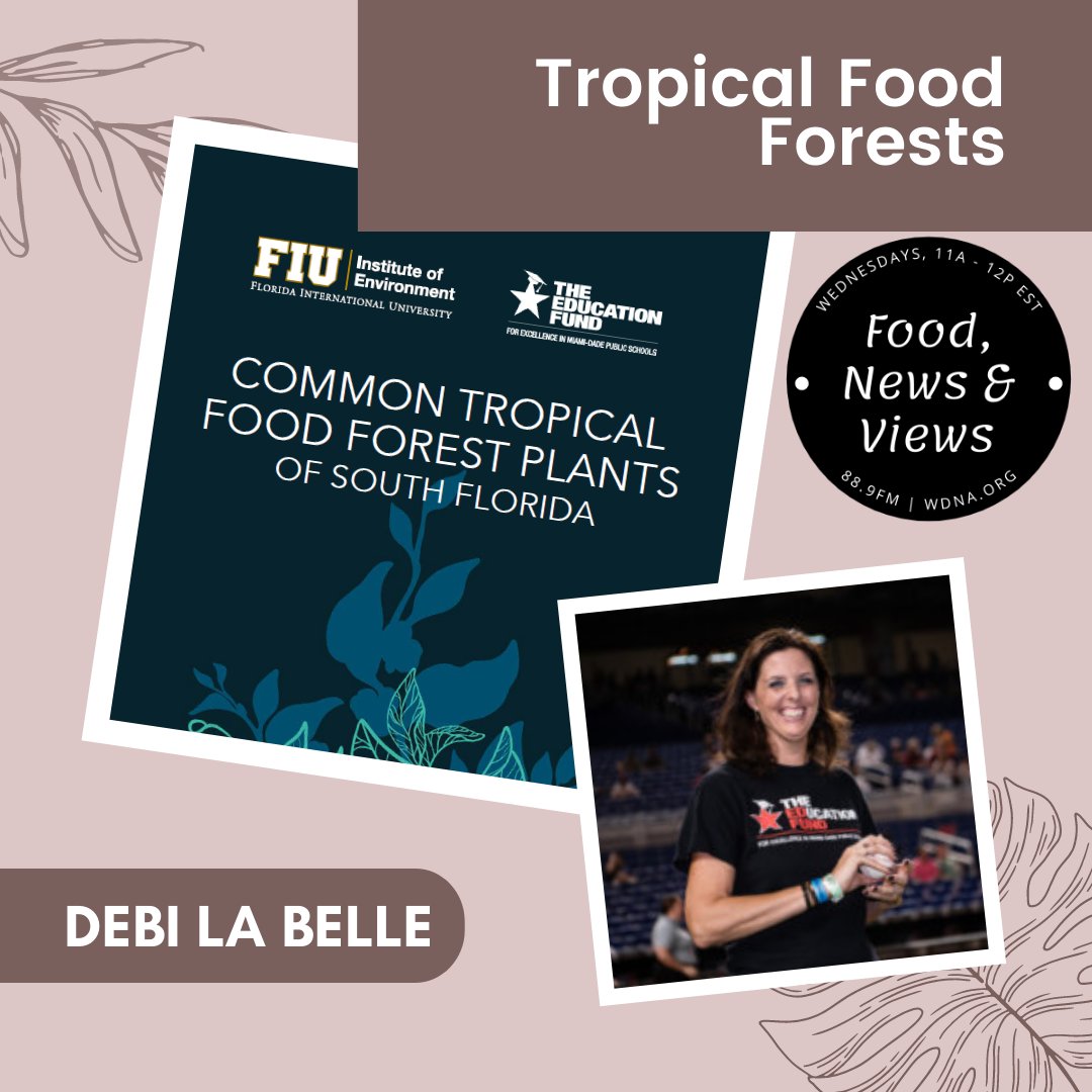 LGassenheimer's tweet photo. WED 3/30, 11aEST @wdnaradio - @DebiH16 w/ #tropical plants & #foodforrest in S. Florida + @EdibleSoFla w/baking & poetry in the garden for @omiamifestival + @HistoryandWine w/questions for your somm + Matt Meltzer w/ #restaurantnews + #dinnerinminutes - https://t.co/9VXEgBrJkX https://t.co/mqdpr6vyOp