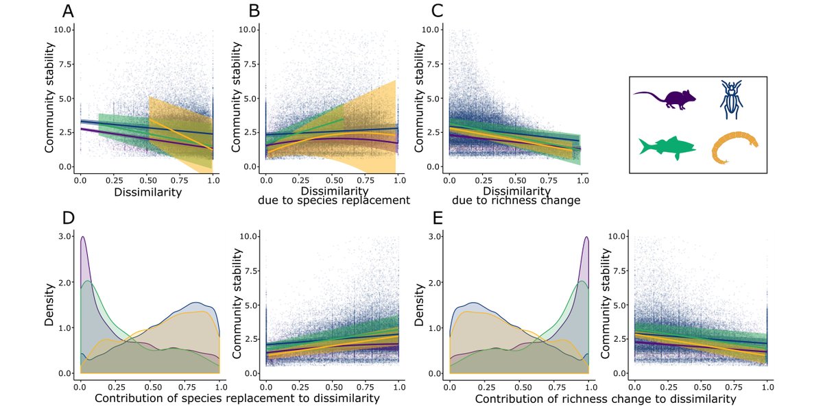 ESAEcosphere's tweet image. From our Special Feature on Harnessing the #NEONData Revolution:

Does #biodiversity promote #CommunityStability? A new study considers 4 major animal taxa at sites throughout the US

doi.org/10.1002/ecs2.3…

#CommunityComposition #OpenAccess #NSFFunded

@majarzyna @NEON_sci @NSF