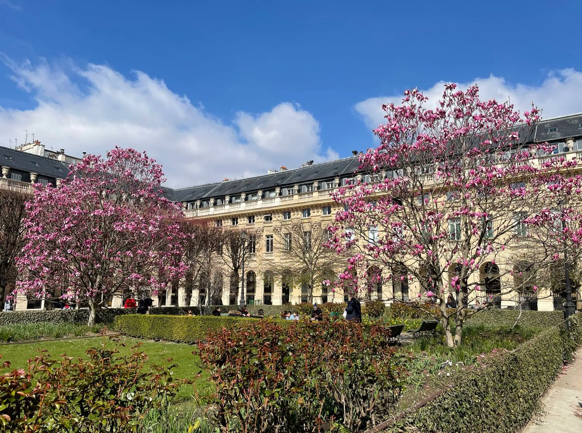 #LeSaviezVous 
En 1674, André #LeNôtre redessine le jardin du Domaine national du #PalaisRoyal, et en fait un jardin à la française par excellence. 🌷🌿
Curieux ? En avril, suivez des visites guidées pour le (re)découvrir : domaine-palais-royal.fr/Actualites/L-a…
cc <a href="/GallicaBnF/">Gallica BnF</a>