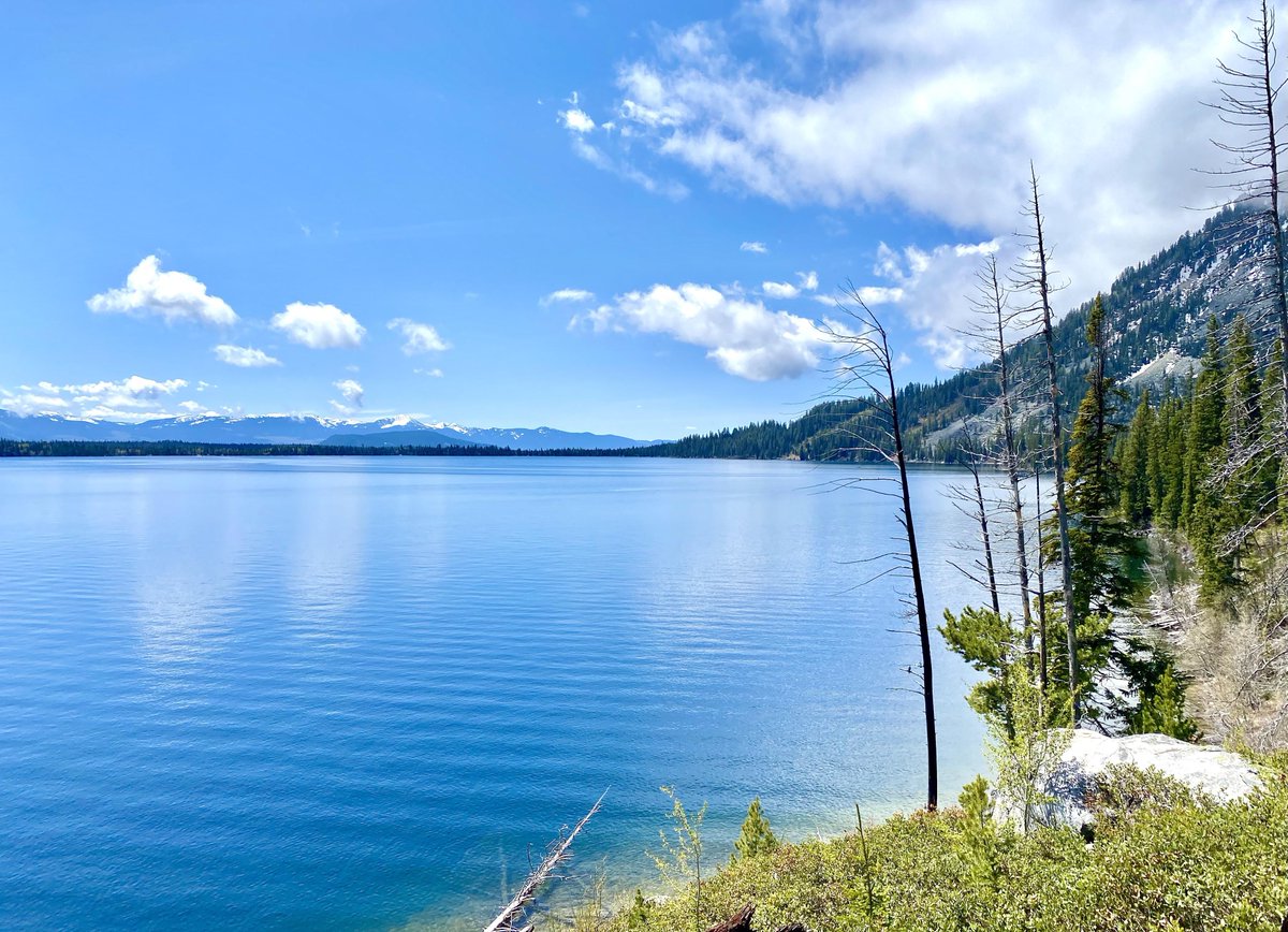 Jenny Lake, Wyoming. From https://t.co/aGbvBVEIUL https://t.co/gjpKupAoJ1