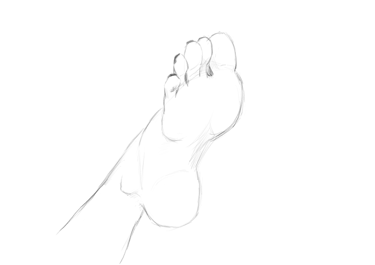 fab_weird's tweet photo. Foot sketch
#footfetish #Sketching https://t.co/kKPj6lUSFt