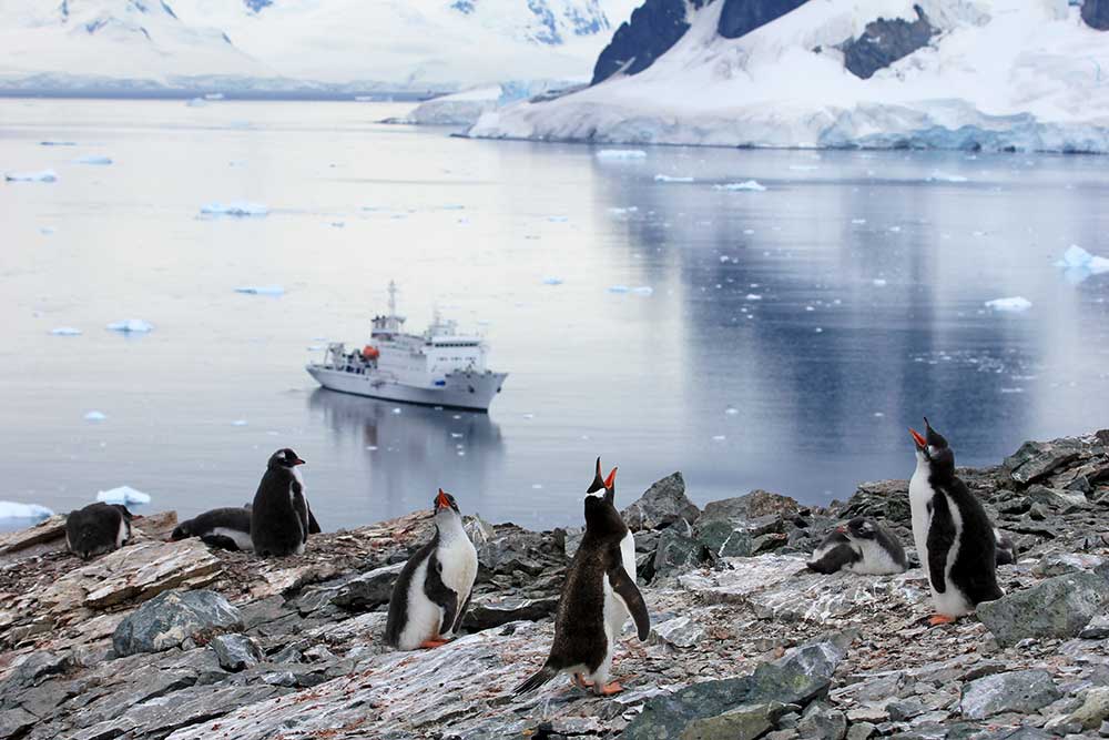 SES_Satellites's tweet photo. We’re thrilled to work w/ #2041Foundation to enable reliable connectivity during their expedition to #Antarctica.
We spoke w/ the organisation’s founder Robert Swan to learn more about their mission. 👉 https://t.co/W3cepWHIaU
#2041ClimateForce #ProtectAntarctica #SESGivesBack https://t.co/YIbtN1Wvm0