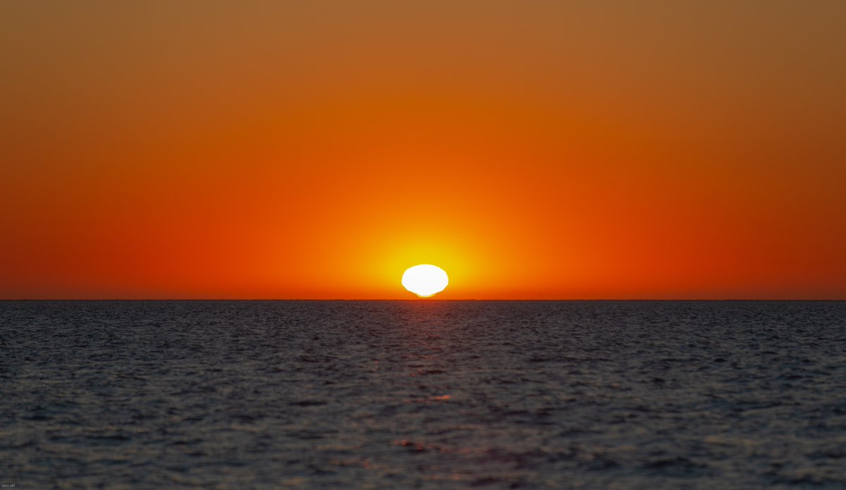 Havenlust's tweet photo. I need vitamin sea 💛🌊☀️ https://t.co/z7e7oYF0ZW